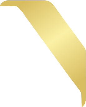 دیس هواپیمایی